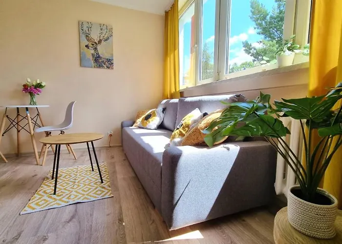 Lejlighed Witaj W Sudetach - W Dusznikach-zdroju Duszniki Zdrój